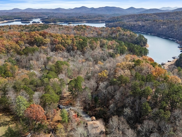 bird's eye view featuring a water and mountain view