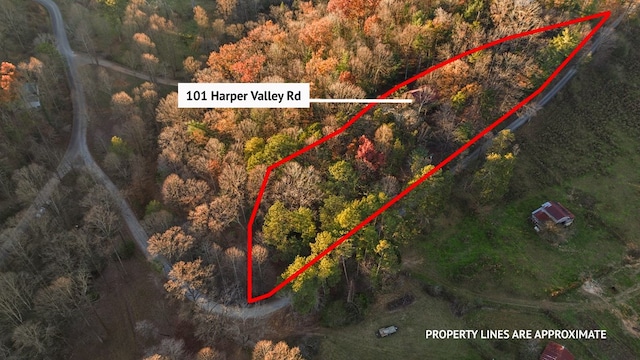 101 Harper Vly, Ellijay, GA 30540 - aerial map of property and surrounding area featuring property boundaries highlighted