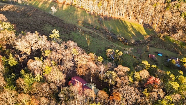 101 Harper Vly, Ellijay, GA 30540 - view of rural area with a heavily wooded area