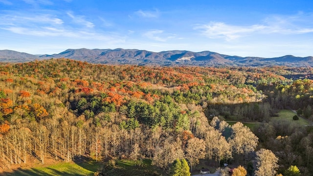 view of mountain feature