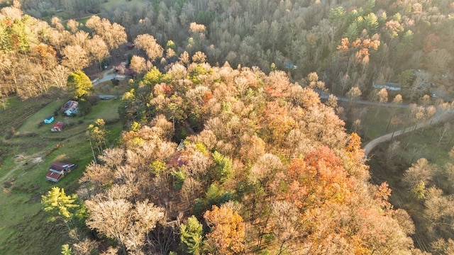 101 Harper Vly, Ellijay, GA 30540 - aerial view of property and surrounding area featuring a heavily wooded area