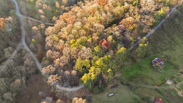 bird's eye view