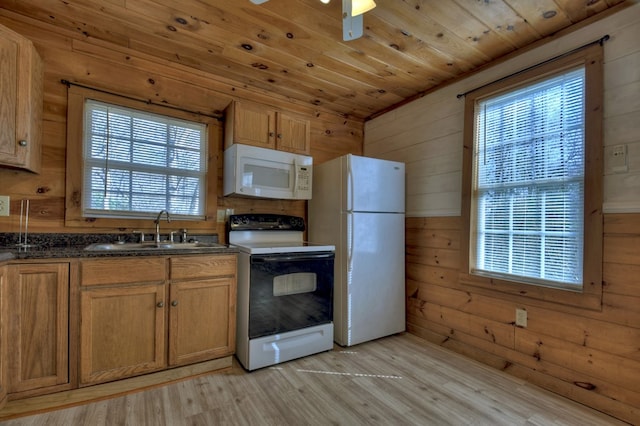 kitchen with wood walls, sink, light hardwood / wood-style floors, and white appliances