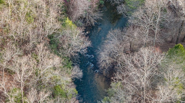 LT67 Bice Ln, Blue Ridge, GA 30513