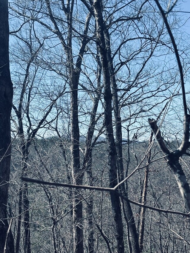 LT67 Bice Ln, Blue Ridge, GA 30513