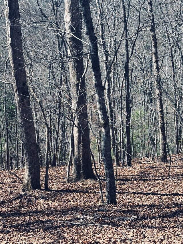LT67 Bice Ln, Blue Ridge, GA 30513