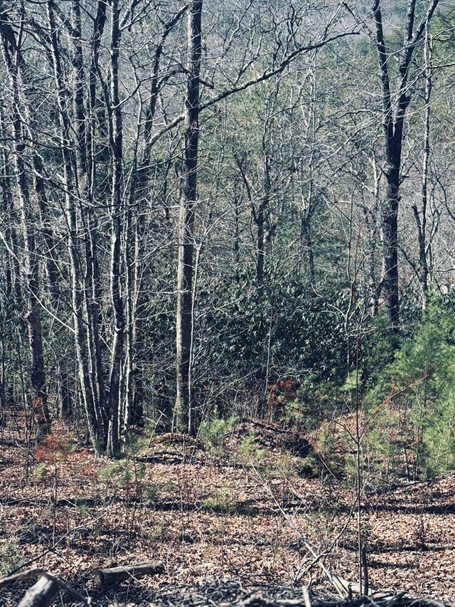 LT67 Bice Ln, Blue Ridge, GA 30513