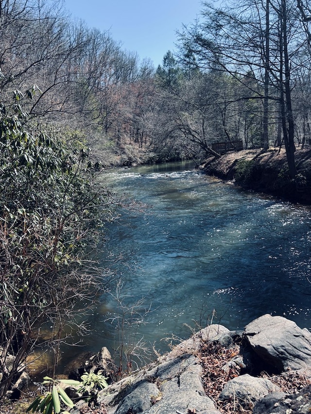 LT67 Bice Ln, Blue Ridge, GA 30513