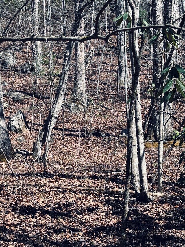 LT67 Bice Ln, Blue Ridge, GA 30513