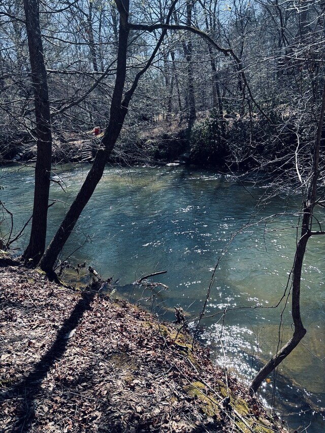 LT67 Bice Ln, Blue Ridge, GA 30513