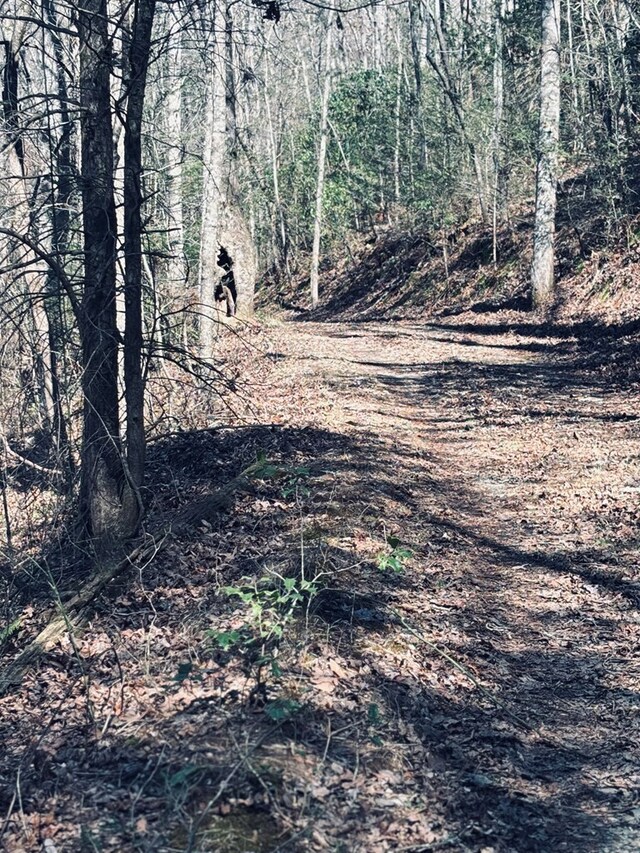 LT67 Bice Ln, Blue Ridge, GA 30513