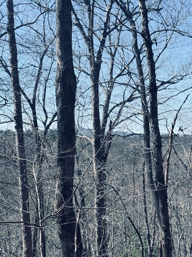 LT67 Bice Ln, Blue Ridge, GA 30513