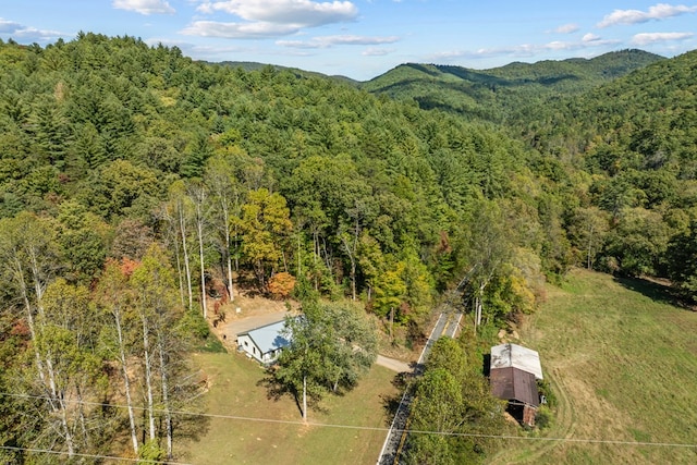 birds eye view of property featuring a mountain view