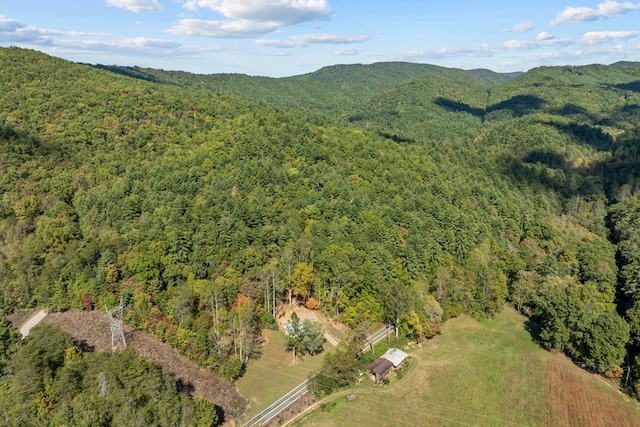 birds eye view of property featuring a mountain view