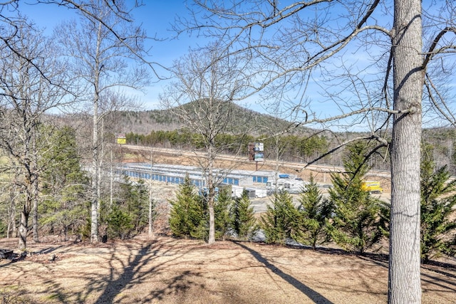 exterior space featuring a mountain view