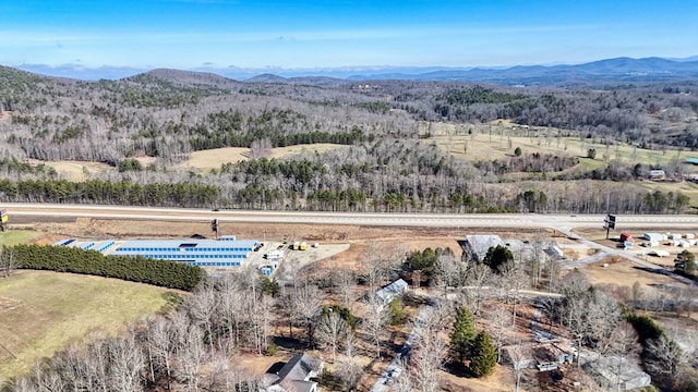 birds eye view of property featuring a mountain view