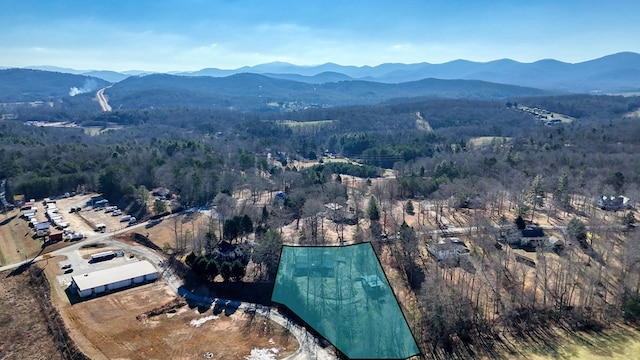 birds eye view of property with a mountain view