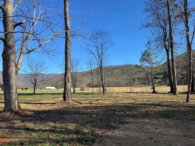 view of yard with a mountain view