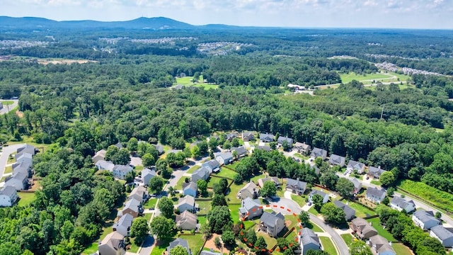 6665 Flagstone Ct, Cumming, GA 30028 - aerial view of residential area featuring a forest