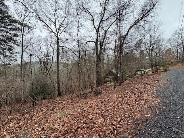 702 Kismet Ct, Ellijay, GA 30540