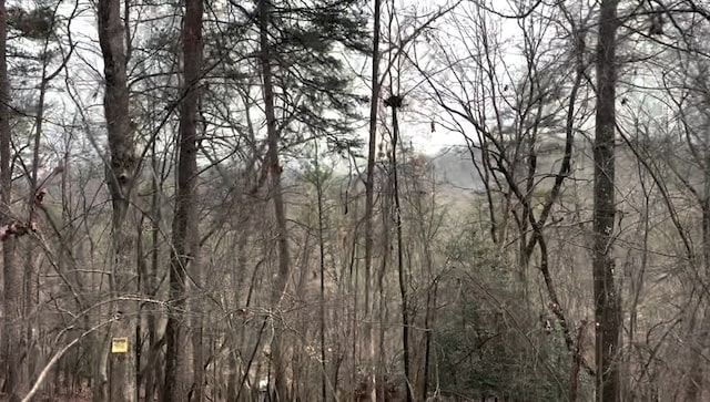 702 Kismet Ct, Ellijay, GA 30540