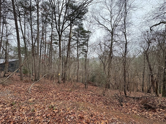 702 Kismet Ct, Ellijay, GA 30540