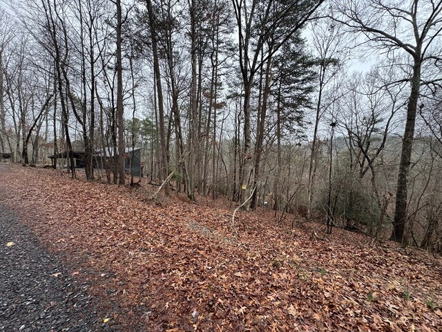 702 Kismet Ct, Ellijay, GA 30540