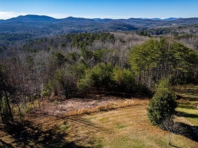 Listing photo 2 for LOT13 High Meadow Trl, Morganton GA 30560