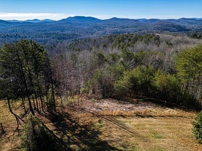 Listing photo 3 for LOT13 High Meadow Trl, Morganton GA 30560