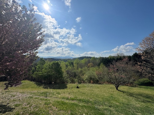 558 Old Dyer Rd, Hayesville, NC 28904 - view of nature featuring a wooded view