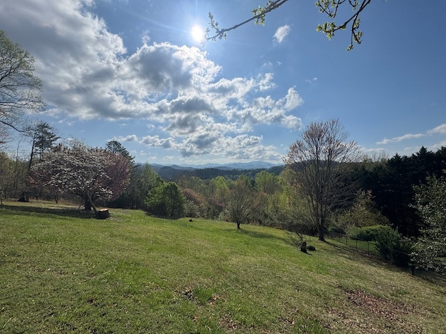 558 Old Dyer Rd, Hayesville, NC 28904 - mountain view with a view of trees