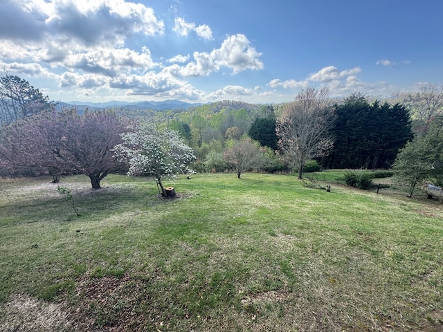 558 Old Dyer Rd, Hayesville, NC 28904 - property view of mountains with a rural view