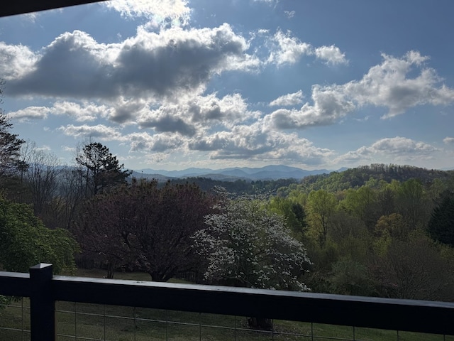 558 Old Dyer Rd, Hayesville, NC 28904 - view of mountain feature with a forest view