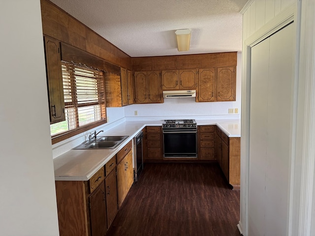 558 Old Dyer Rd, Hayesville, NC 28904 - kitchen with black dishwasher, under cabinet range hood, gas stove, light countertops, and a sink
