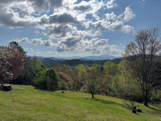 558 Old Dyer Rd, Hayesville, NC 28904 - view of mountain feature with a view of trees