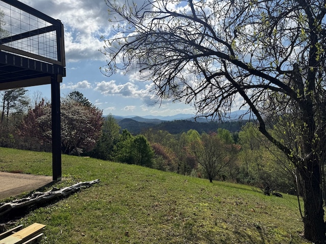 558 Old Dyer Rd, Hayesville, NC 28904 - mountain view with a wooded view