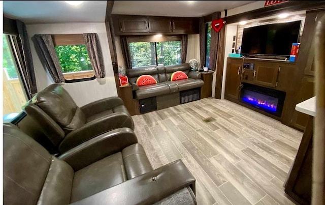 living room featuring light hardwood / wood-style flooring