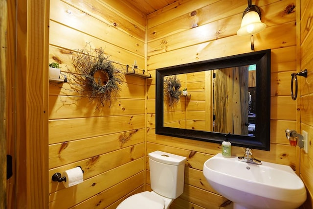 162 Grayson Pt, Blue Ridge, GA 30513 - bathroom with a sink, wood walls, and toilet