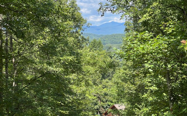 L17A Trillium Hts, Brasstown, NC 28902