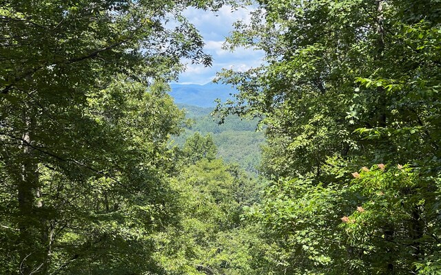 L17A Trillium Hts, Brasstown, NC 28902