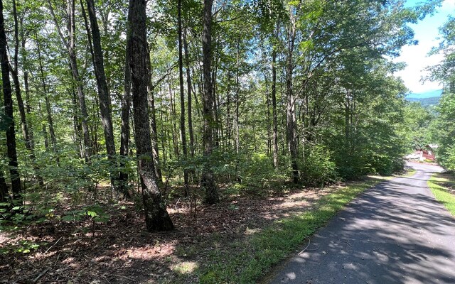 L17A Trillium Hts, Brasstown, NC 28902