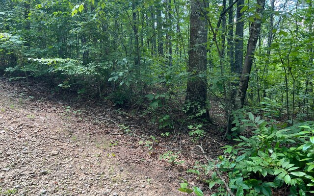 L17A Trillium Hts, Brasstown, NC 28902