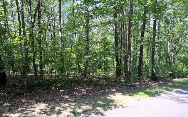 L17A Trillium Hts, Brasstown, NC 28902