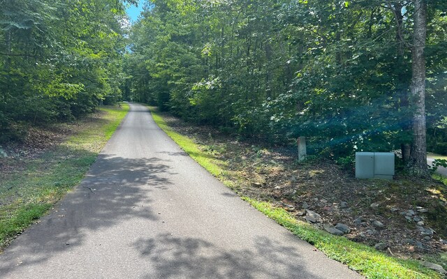 L17A Trillium Hts, Brasstown, NC 28902