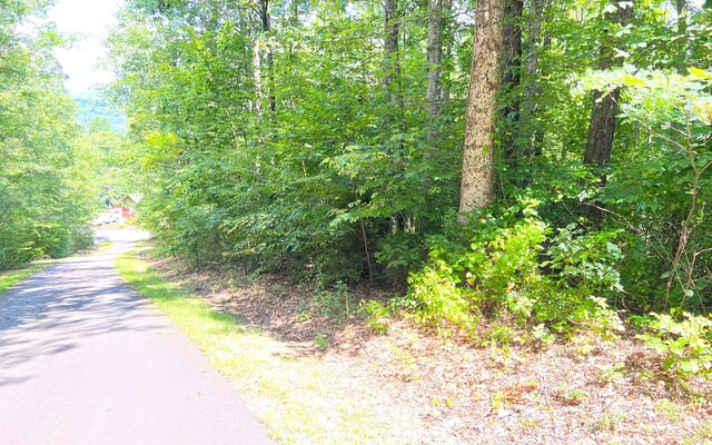 L17A Trillium Hts, Brasstown, NC 28902
