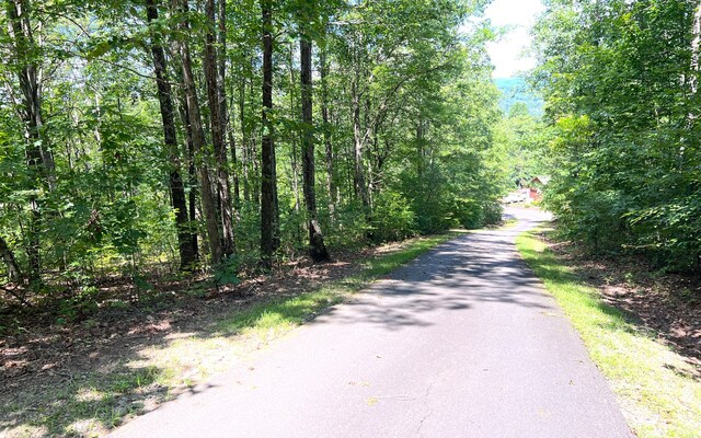 L17A Trillium Hts, Brasstown, NC 28902