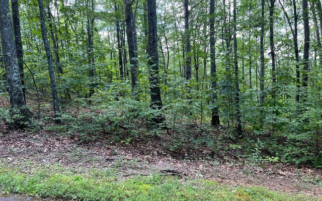 L17A Trillium Hts, Brasstown, NC 28902