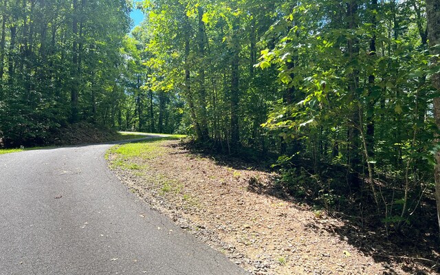 L17A Trillium Hts, Brasstown, NC 28902