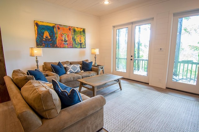 living room featuring french doors, a wealth of natural light, and wood-type flooring