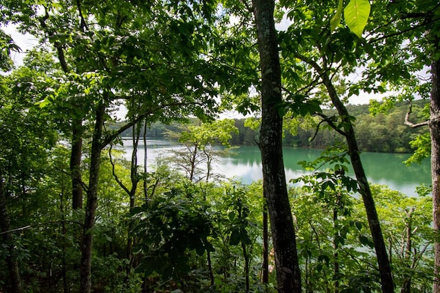 view of water feature